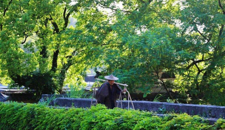 植物大战僵尸11