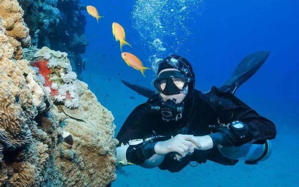 飞利浦、未野、松下剃须刀怎么样?2024真实爆款测评PK